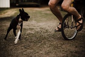 Unicycle 4