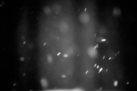 It is snowing again