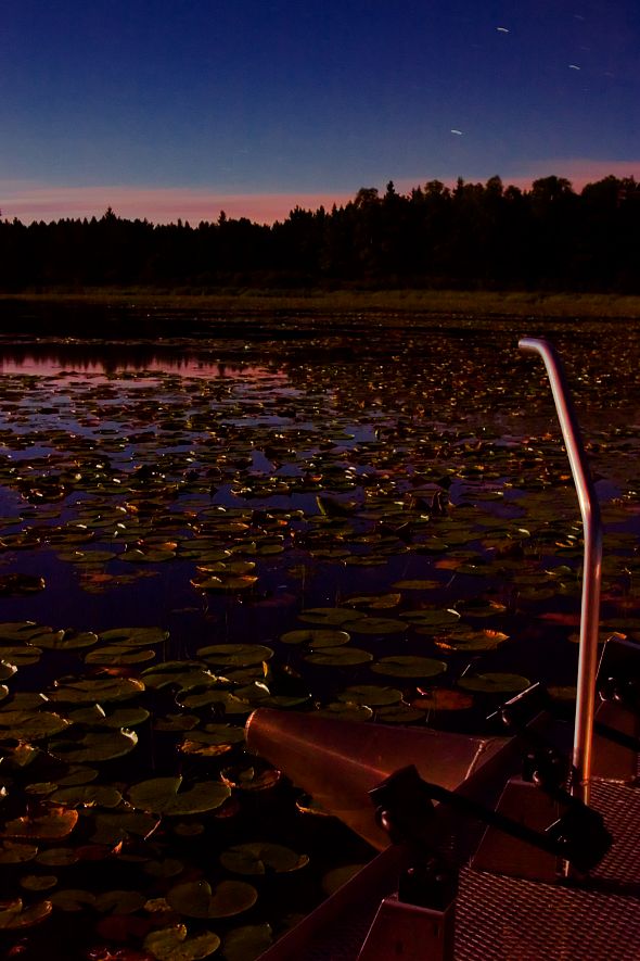 water-lilipads-paddleboat