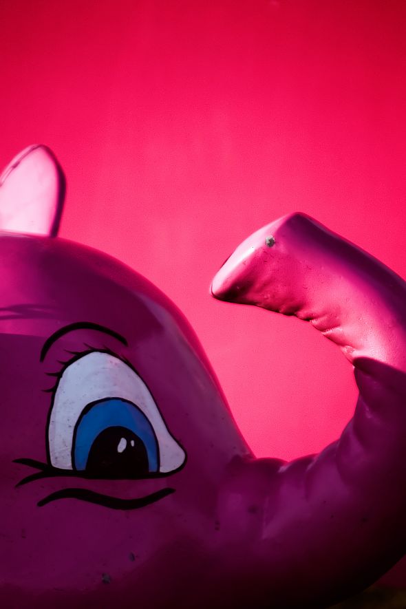 pink-elephant