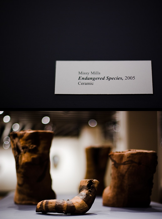 Missy Mills' Endangered Species