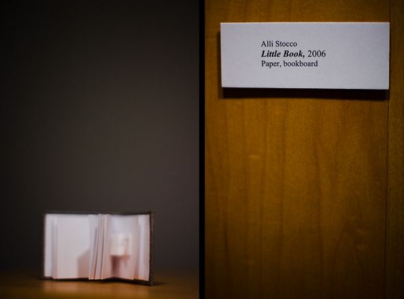 Alli Stocco's Little Book