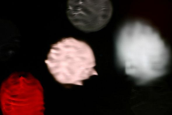 lights 2