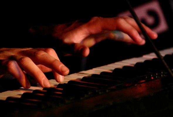 Mark Mallman's hands