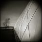 Swanson Tennis Center 2