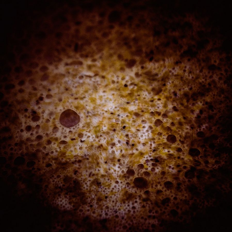foamy-brew