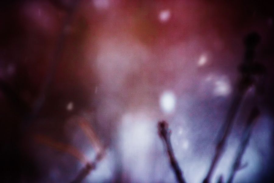 untitled-snowy-day