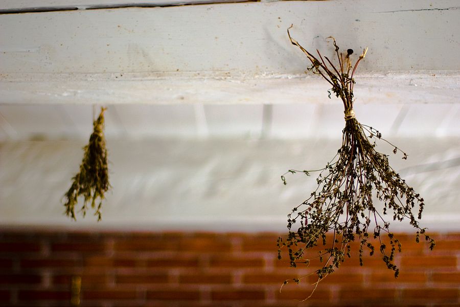 hanging herbs