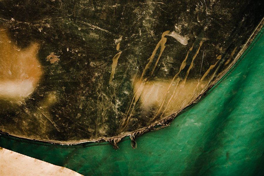 Inside the Alligator Head