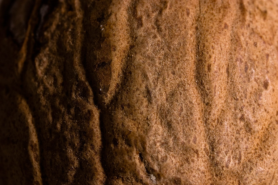 Whole Nutmeg (top)