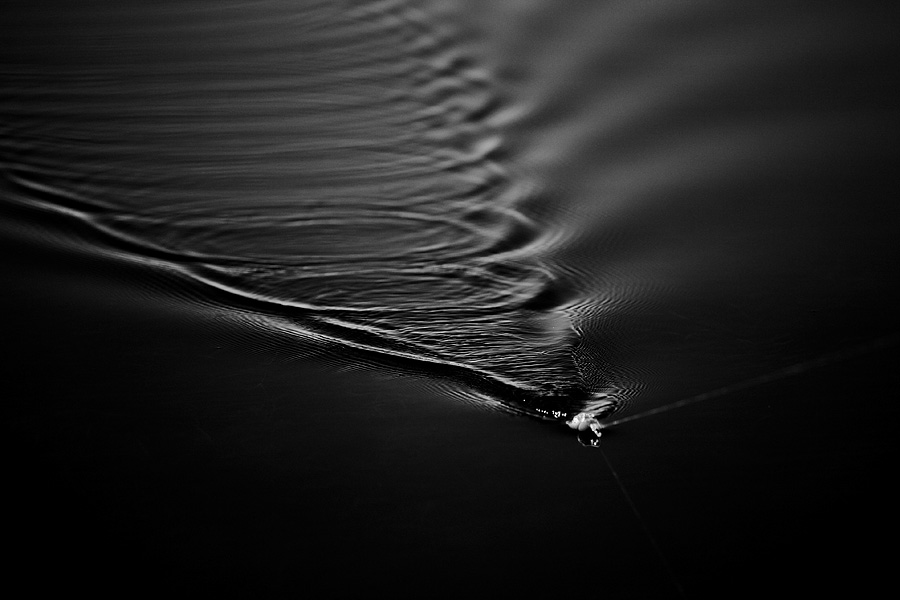 Bobber in the Water