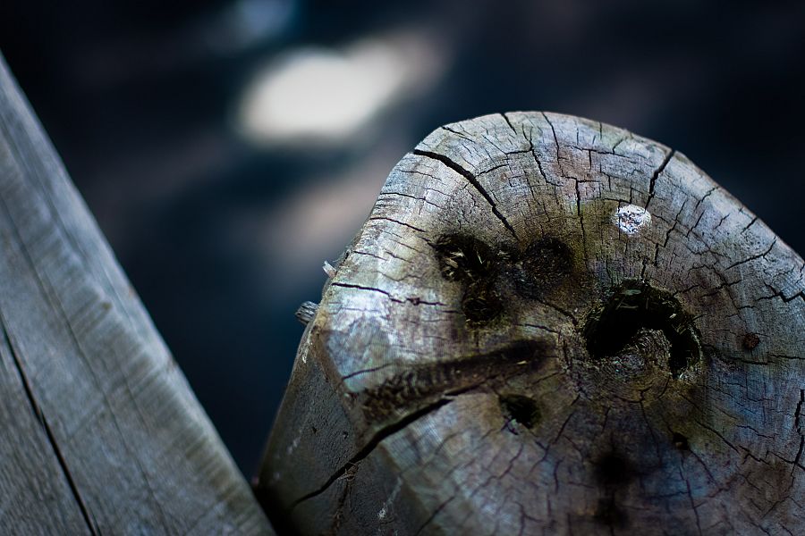 dock-post