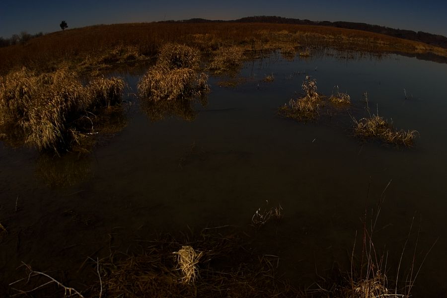 kasota-prairie-pond-4